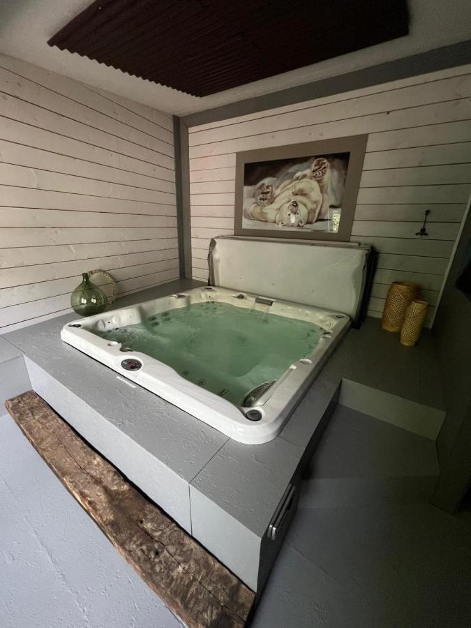 Les Chambres De Pauline Avec Spa Et Climatisation アルベールヴィル エクステリア 写真